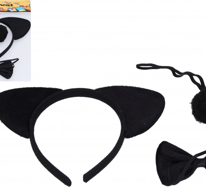 Kostýmový set Medveď