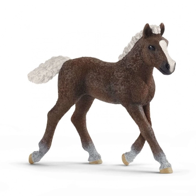 Schleich Horse Club Schwarzwaldské Hříbě