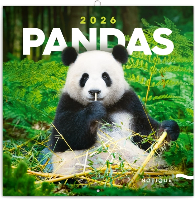Poznámkový kalendár Pand 2026