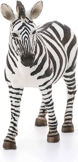 Ideálne pre zbierky aj vzdelávanie