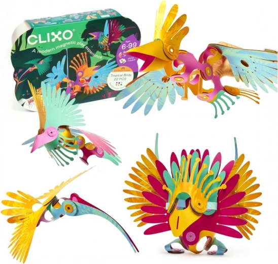Magnetické stavebnice Clixo - Tropickí vtáci - 22 dielov