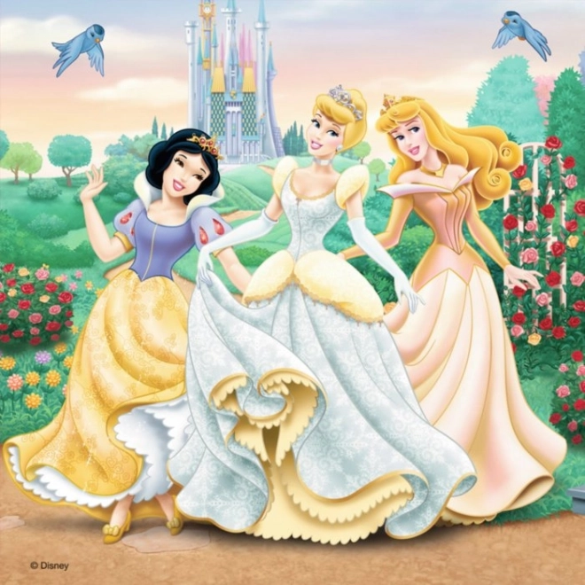 Ravensburger puzzle Disney princezny: Sny