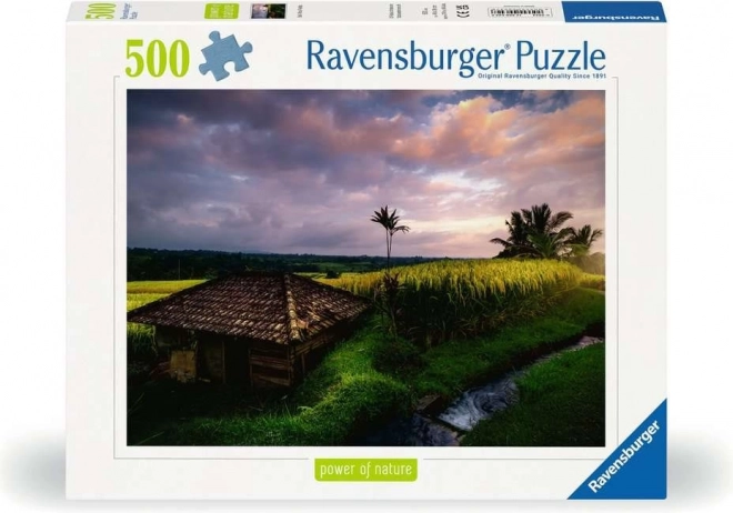 Puzzle Ryžové polia na Bali 500 dielikov