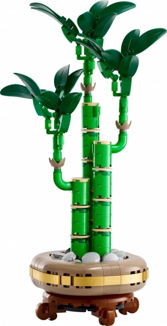 Dekoratívna rastlina LEGO Botanicals Dracena Sander