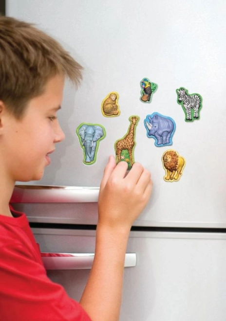 Magnety na chladničku pre každodennú radosť