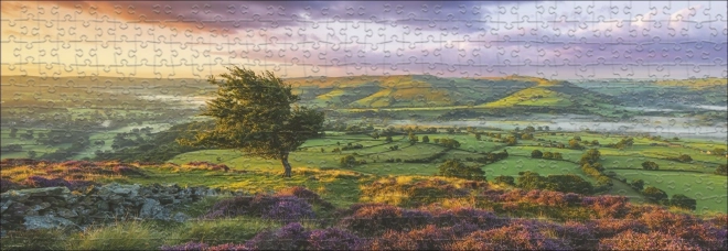 Panoramatické puzzle Purpurový rozkvět 1000 dielikov