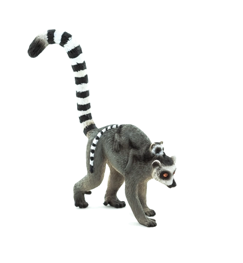 Mojo lemur s mláďaťom