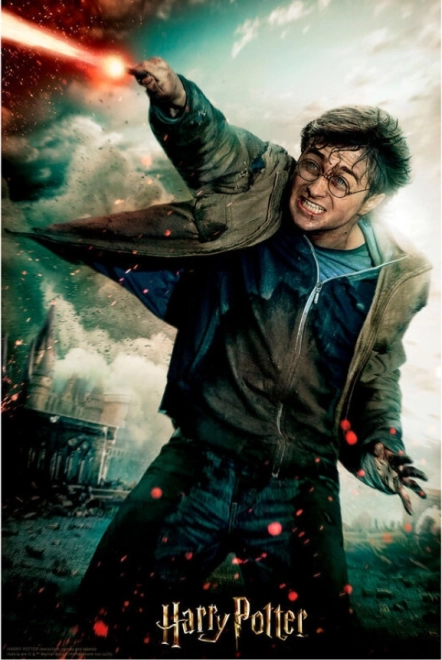 3D puzzle Harry Potter: Harry 300 dielikov