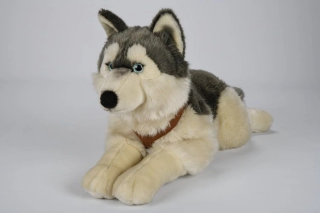 Plyšový husky