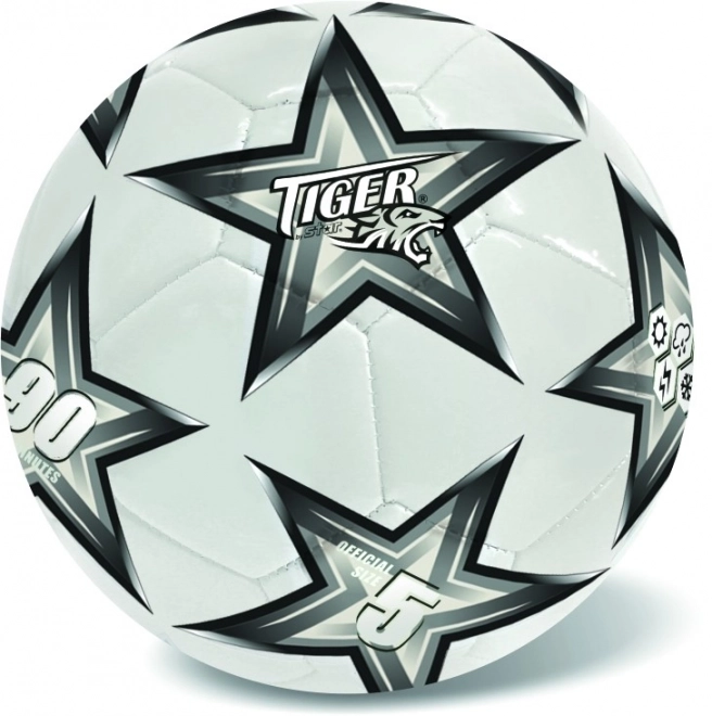 Kožená futbalová lopta strieborná