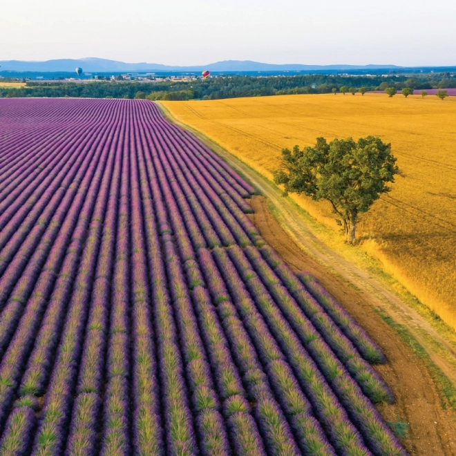 Poznámkový kalendár Provence 2026