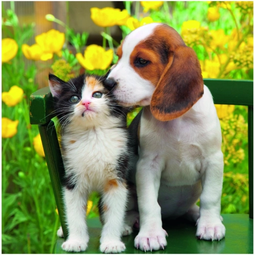 Ideálna náročnosť: 55 dielikov