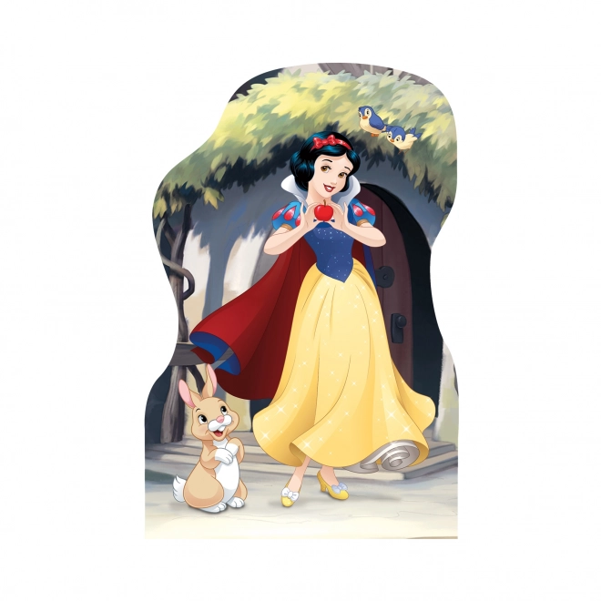 Puzzle Disney Princezné 4x54 dielikov