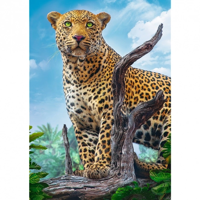 Puzzle Divoký Leopard 500 Dielikov