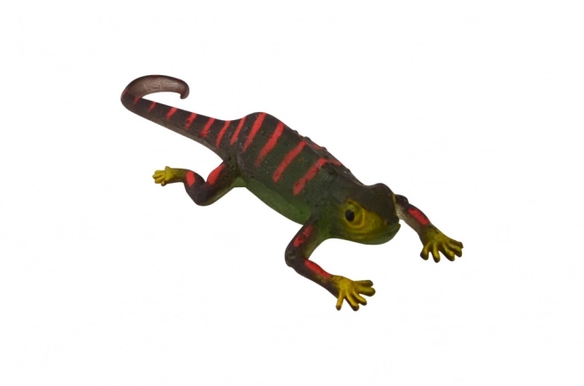 Farebný chameleón – Magický zážitok