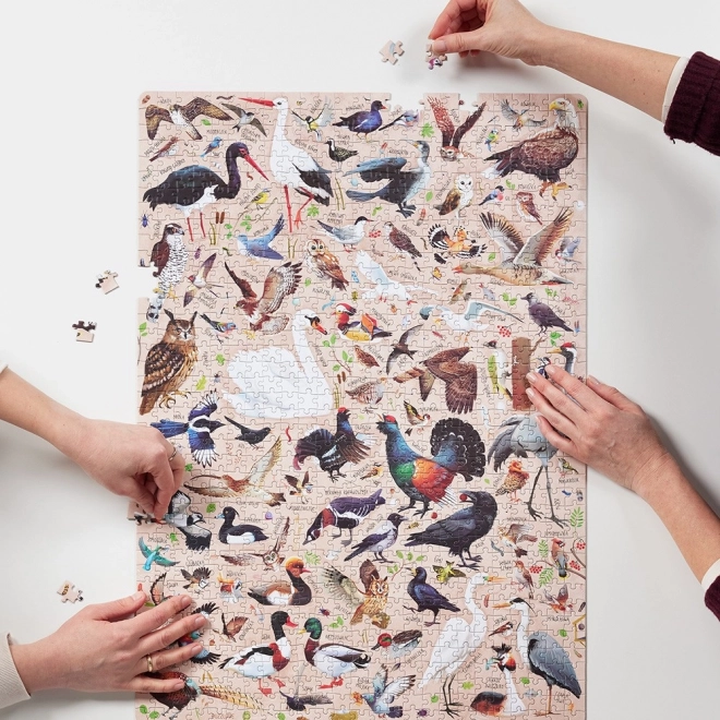Puzzlove CzuCzu Vtáci Poľska 1000 dielikov
