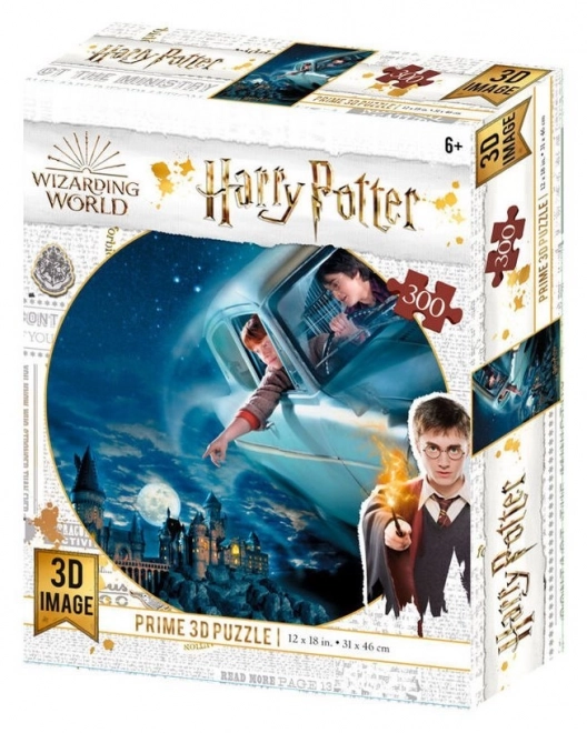 3D Puzzle Harry Potter: Harry a Ron nad Rokfortom 300 dielikov