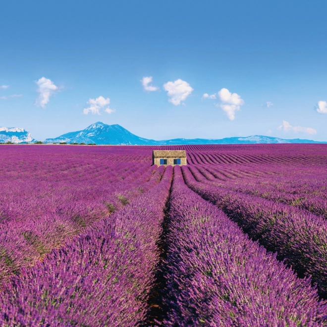 Poznámkový kalendár Provence 2026