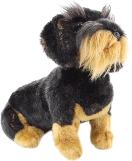 Ideálne na mojkanie aj zaspávanie