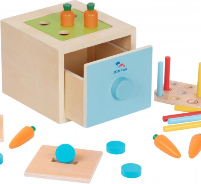 2Kids Toys Drevená multifunkčná vhadzovacia hračka