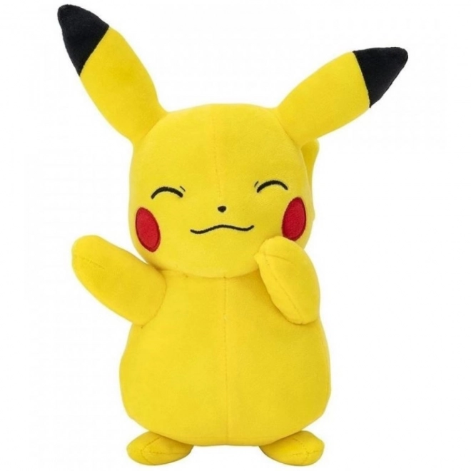 Plyšový Pokémon 22 cm - náhodne dodaný