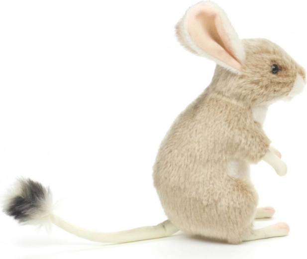 Ľahký a vhodný na cesty