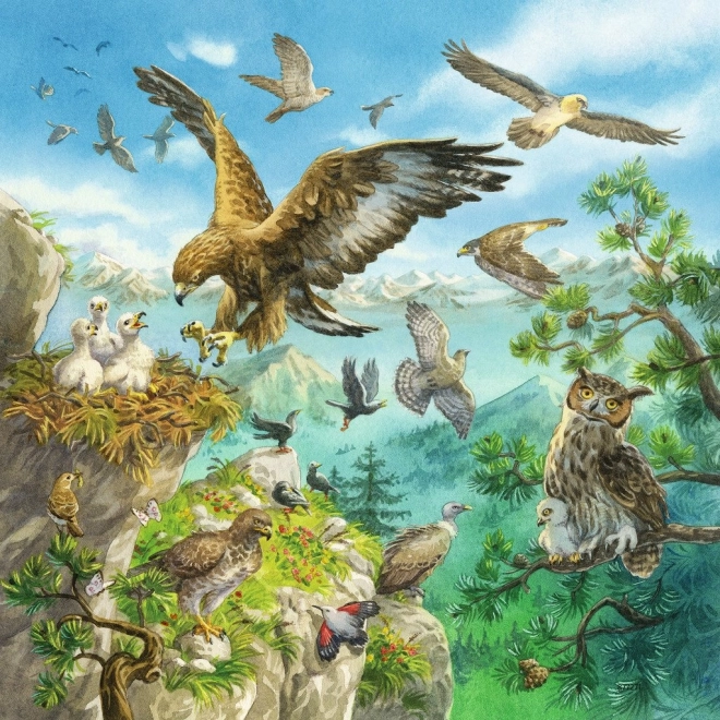 Horská fauna v akcii