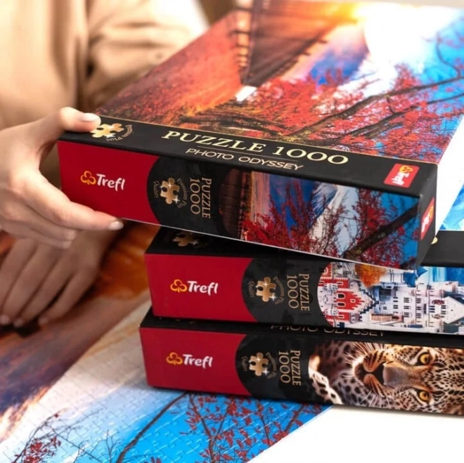 Puzzle 1000 dielikov - Premium Plus - Foto Odyssey - Malé Benátky v Colmar, Francúzsko