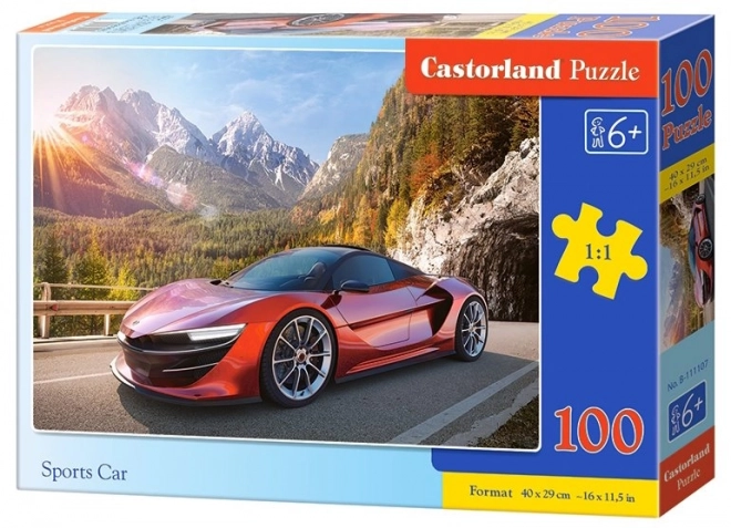 Puzzle športové auto 100 dielikov