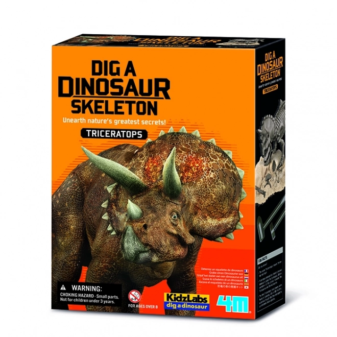 Dinosaurus kostra - Triceratops