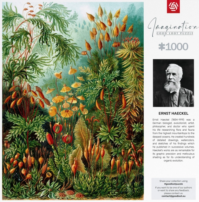 Good Loot puzzle Imagination: Ernst Haeckel - Muscinae 1000 dielikov