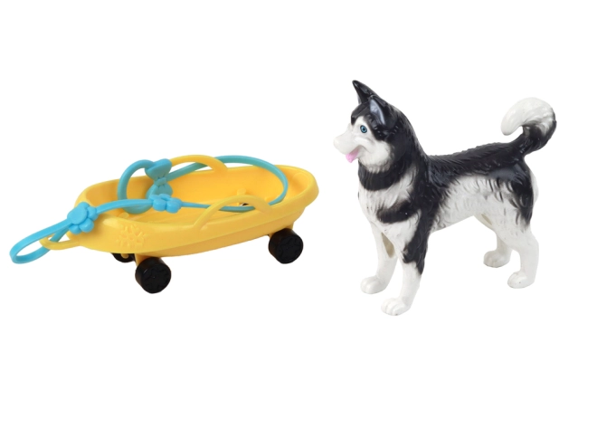 Pes Husky ako verný spoločník