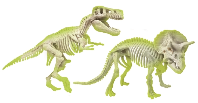 Svietiace kostry dinosaurov