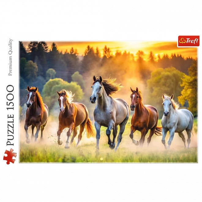 Puzzle Dziké kone 1500 dielikov