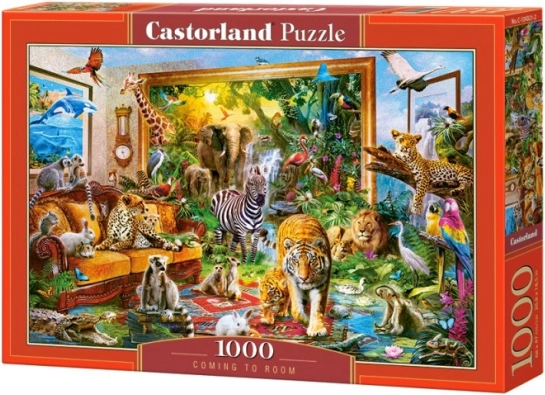 Puzzle 1000 dielikov Coming to Room