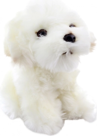 Realistické detaily rozkošného šteniatka