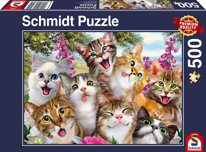 Puzzle Mačacia Selfie 500 Dielikov