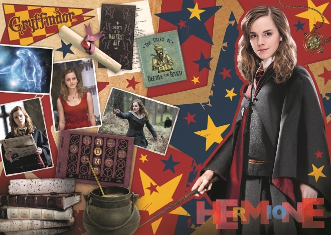 Puzzle Harry Potter: Ron, Hermiona a Harry