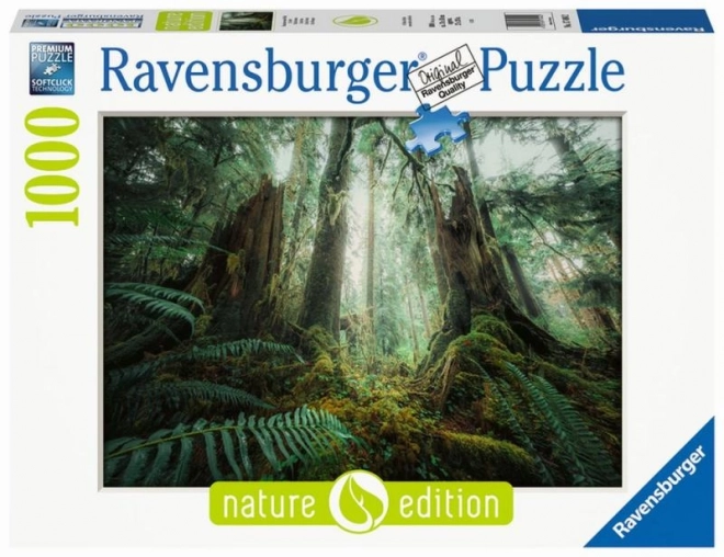 Puzzle V lese 1000 dielikov
