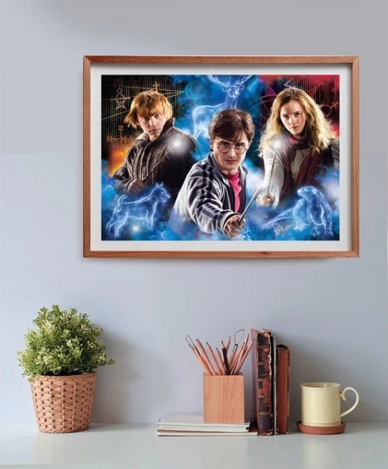 Puzzle Harry Potter 500 dielikov