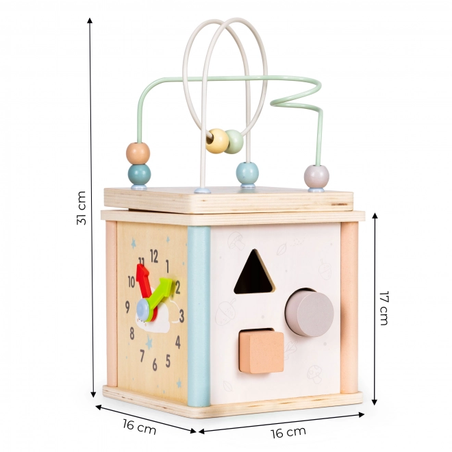 Drevená edukačná kocka Ecotoys