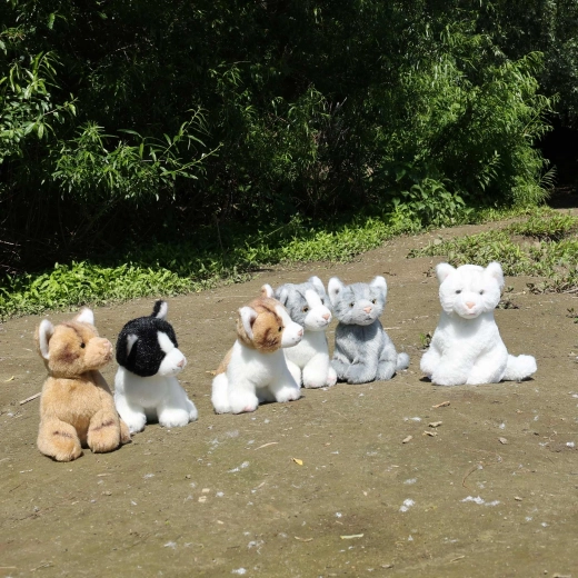 Šesť krásnych variantov pre každého