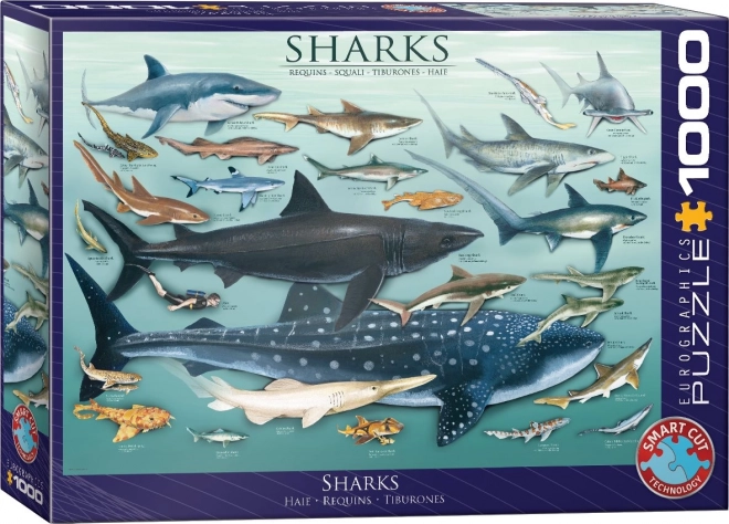 Puzzle Žraloky 1000 dielikov