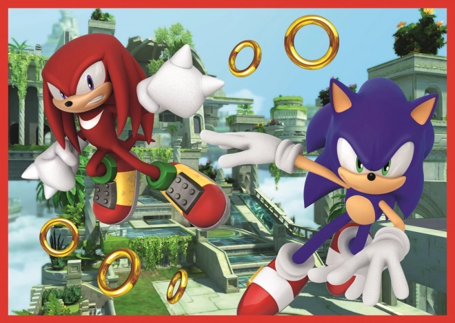 Puzzle 4v1 Sonic The Hedgehog