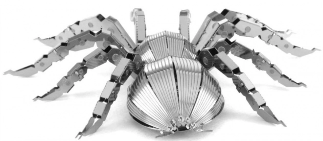 3D puzzle tarantula