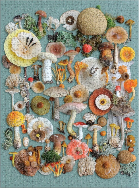 Galison puzzle Sklizeň 1000 dielikov