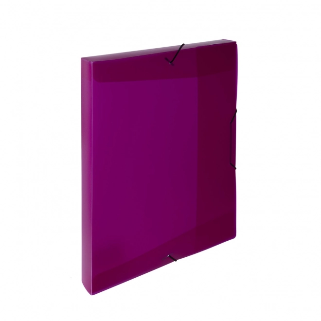 Archivačný box Opaline magenta