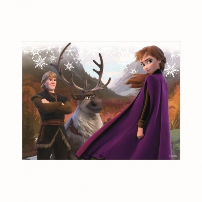 Drevené licenčné kocky Frozen II – 12 kociek