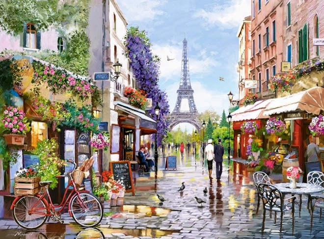 Puzzle Rozkvetlá Paríž 3000 dielikov