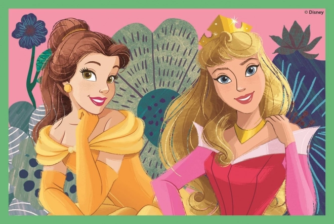 Obrázkové kocky Disney Princezné